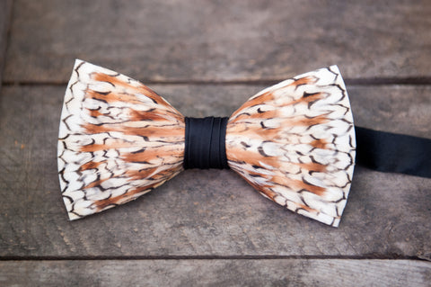 Bobwhite